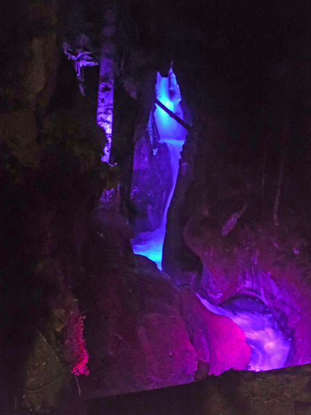 Ladder Creek Falls at night